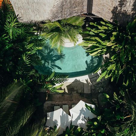 Conga Boutique Hotel Puerto Viejo de Talamanca Екстер'єр фото