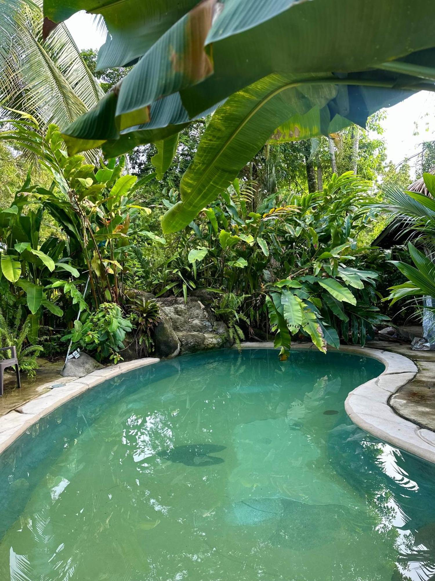 Conga Boutique Hotel Puerto Viejo de Talamanca Екстер'єр фото