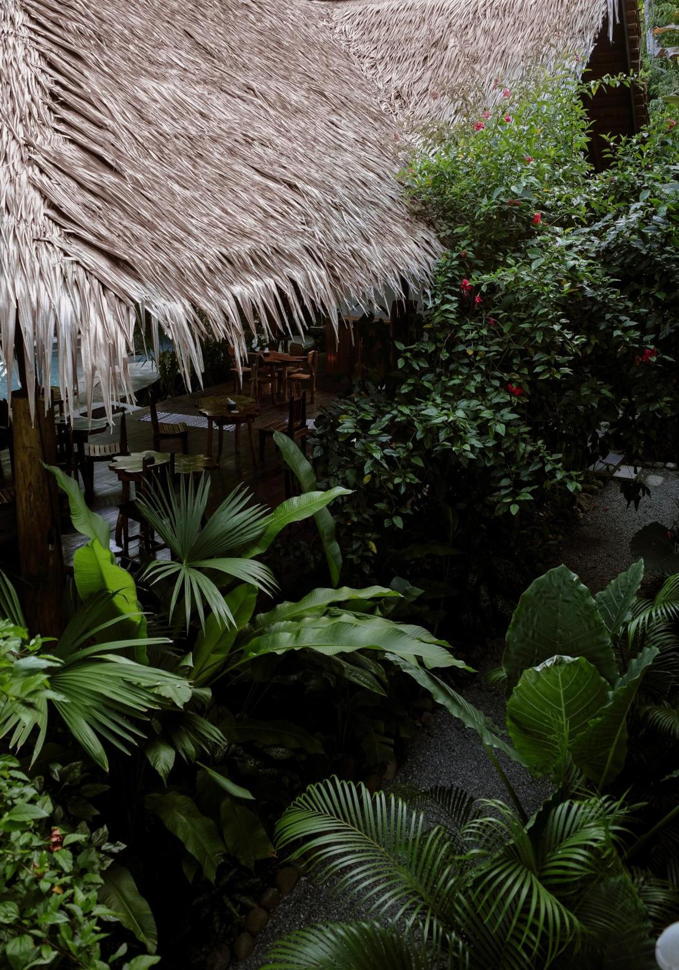 Conga Boutique Hotel Puerto Viejo de Talamanca Екстер'єр фото