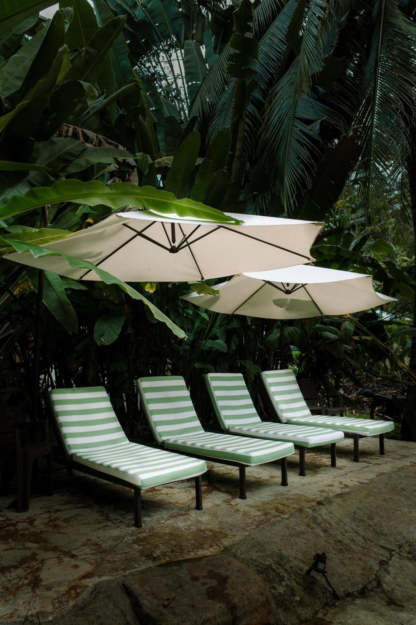 Conga Boutique Hotel Puerto Viejo de Talamanca Екстер'єр фото