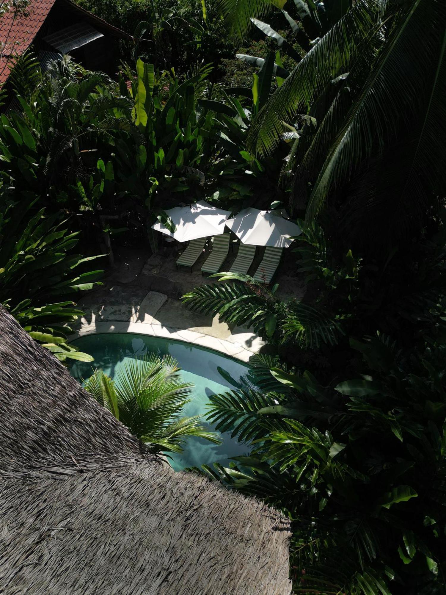 Conga Boutique Hotel Puerto Viejo de Talamanca Екстер'єр фото